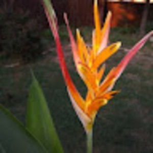 Meet your Posher, Dan